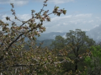 fugio monte Crisimo201100501 111